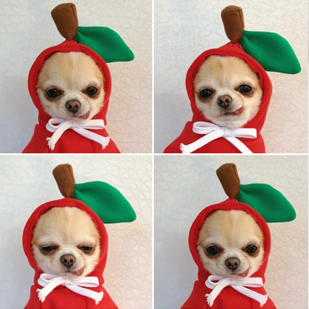Christmas Cute Cozy Hoodies Pet Costume for Cats & Dogs