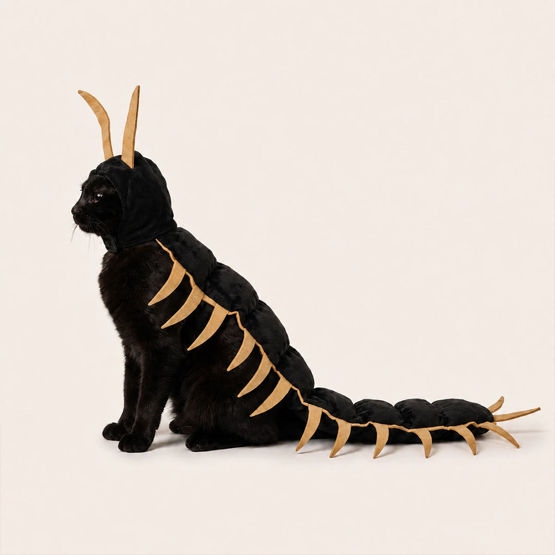 Cat Centipede Costume for Halloween
