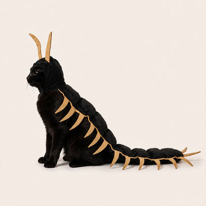 Cat Centipede Costume for Halloween
