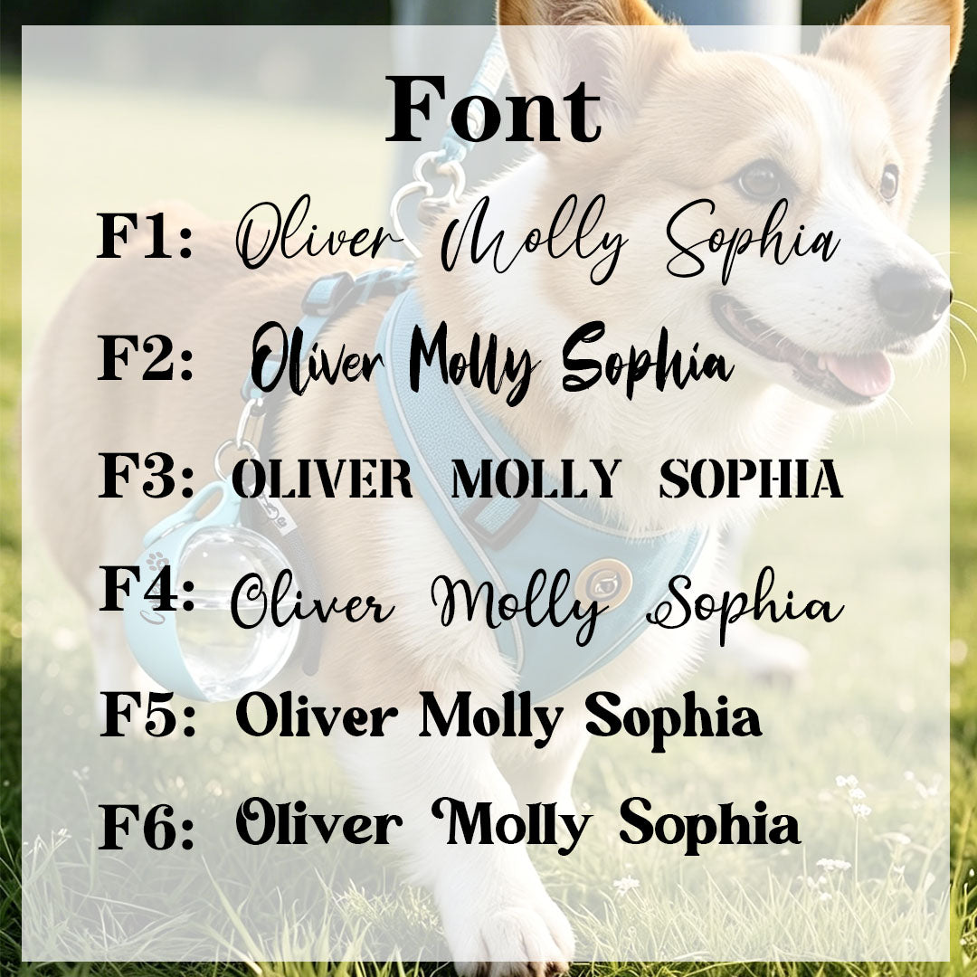 Personalized Custom Outdoor Round Portable Water Dispenser for Cats and Dogs