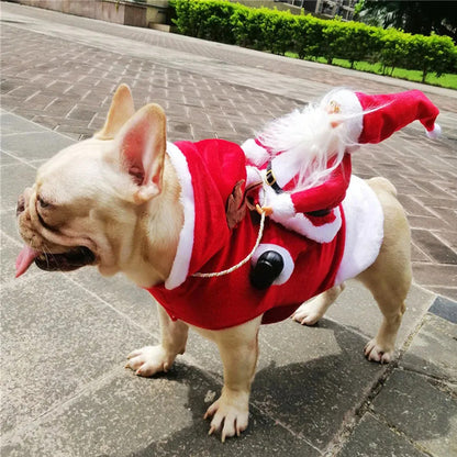 Santa's Sleigh Rider Dog Costume