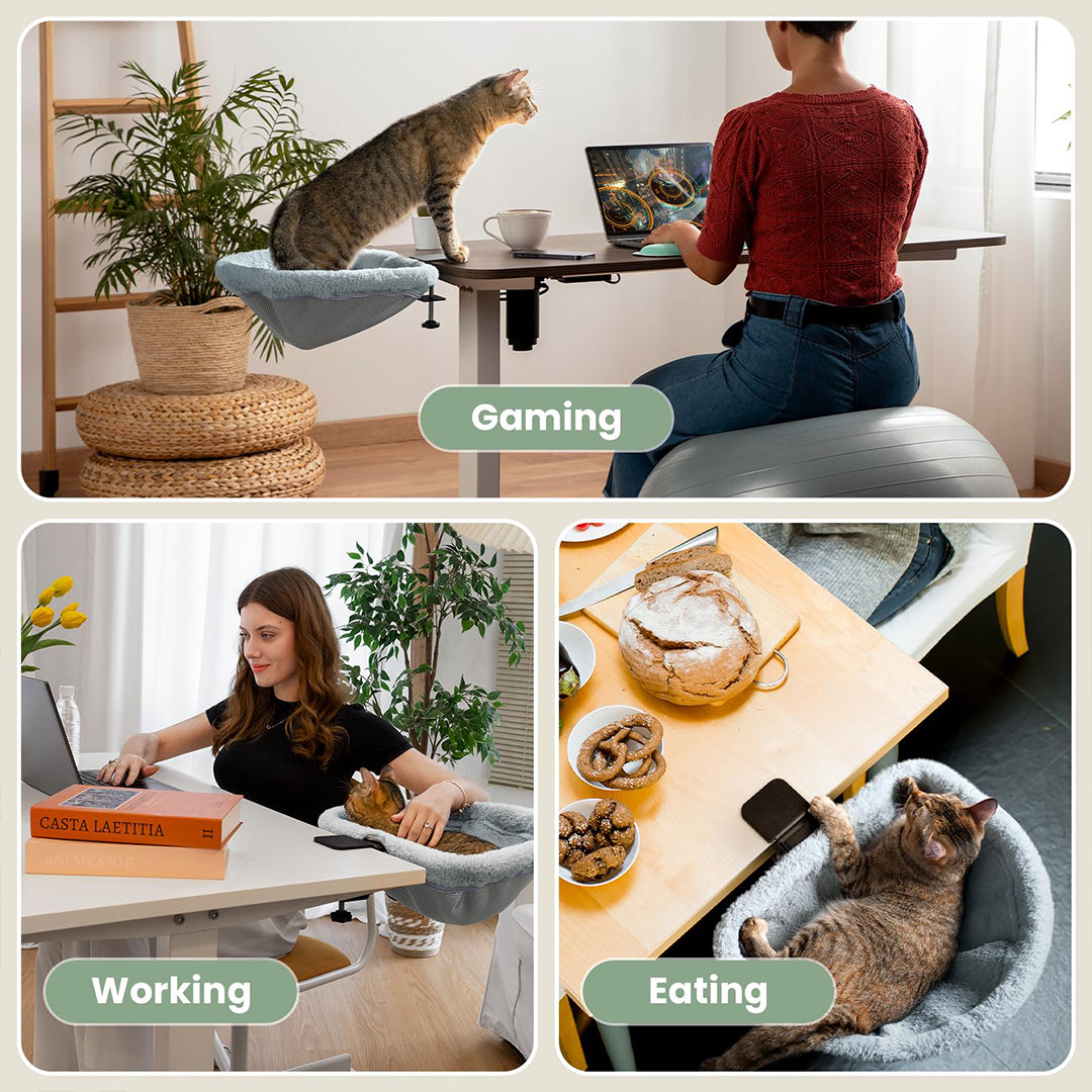Puptailor Personalized Cat Desk Bed