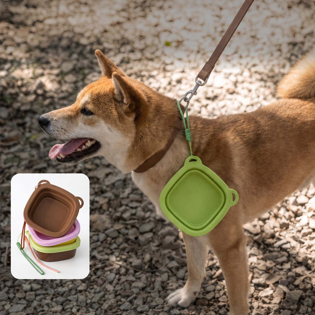 Portable Pet Feeding Water Bowl