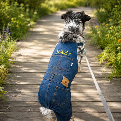 Personalized Embroidered Name Dog Denim Overalls