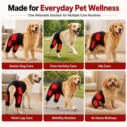 Puptailor Infrared Physiotherapy Mat for Pet Hind Limb and Back Rehabilitation and Care