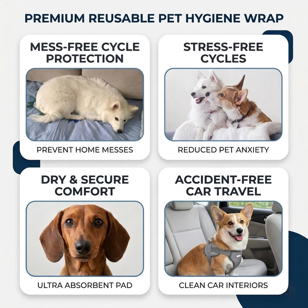 Pet Hygiene Pants