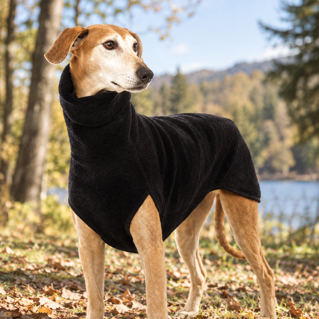Personalized Thermal Turtleneck Dog Vest