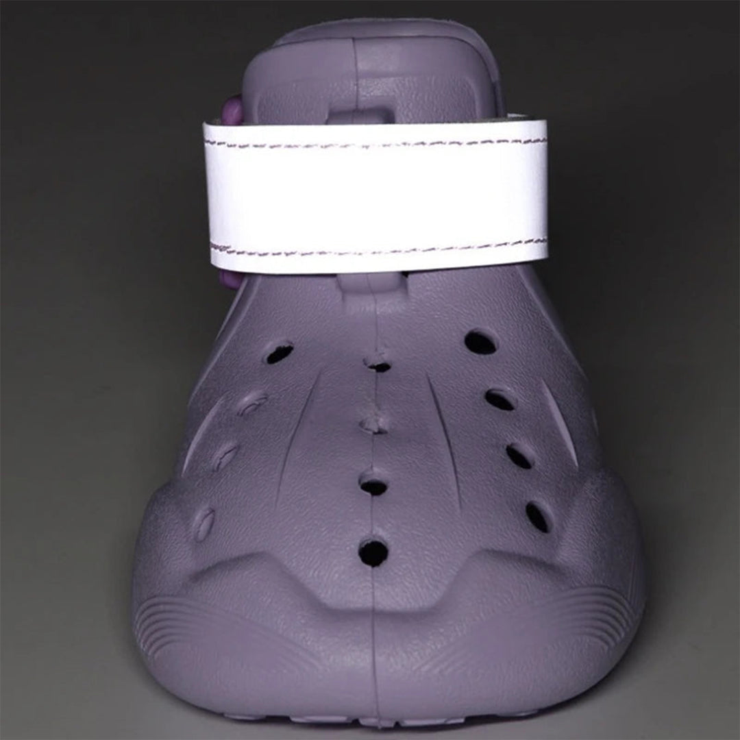 Personalized Name Dog Shoes