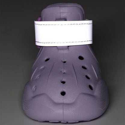 Personalized Name Dog Shoes