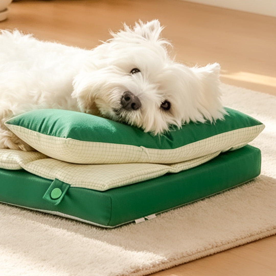 Personalized Pet Mattress with Name