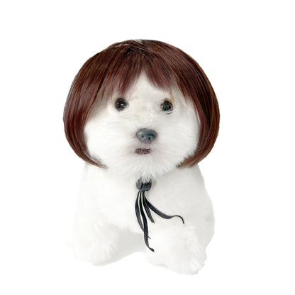 Funny Dog Wigs — Adjustable Pet Costume Hair