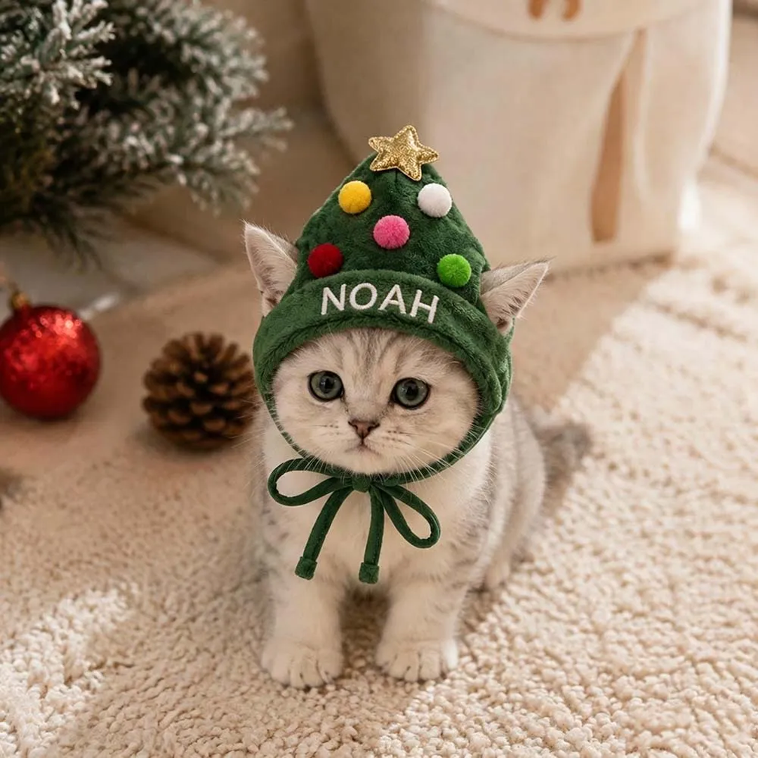 Personalized Embroidered Christmas Pet Hat