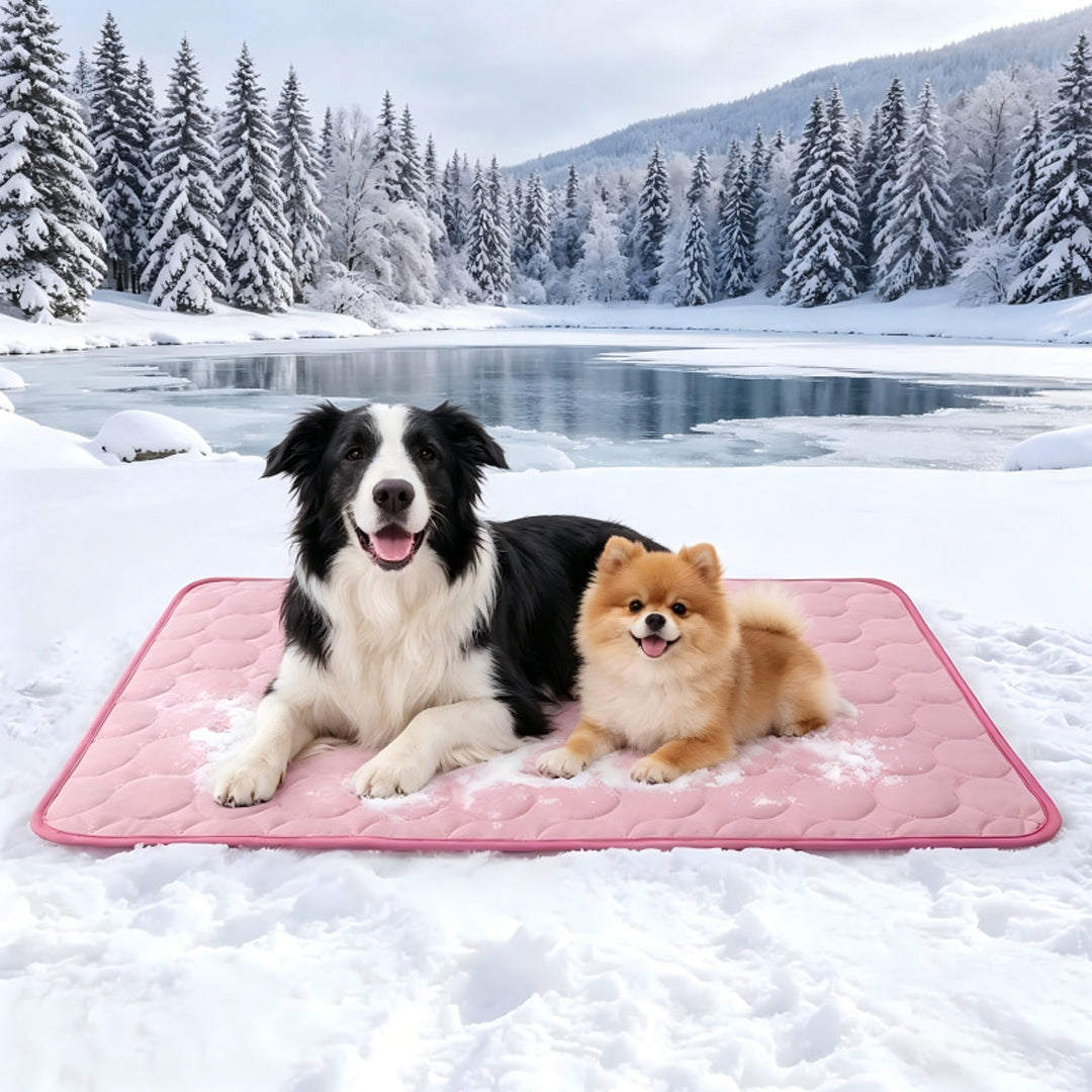 Personalized Pet Summer Cooling Mat