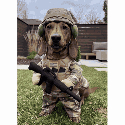 Puptailor Personalized Dog Soldier Costume
