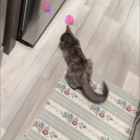 Puptailor Smart Automatic Rolling Cat Ball Toy-Rechargeable Interactive Play Ball