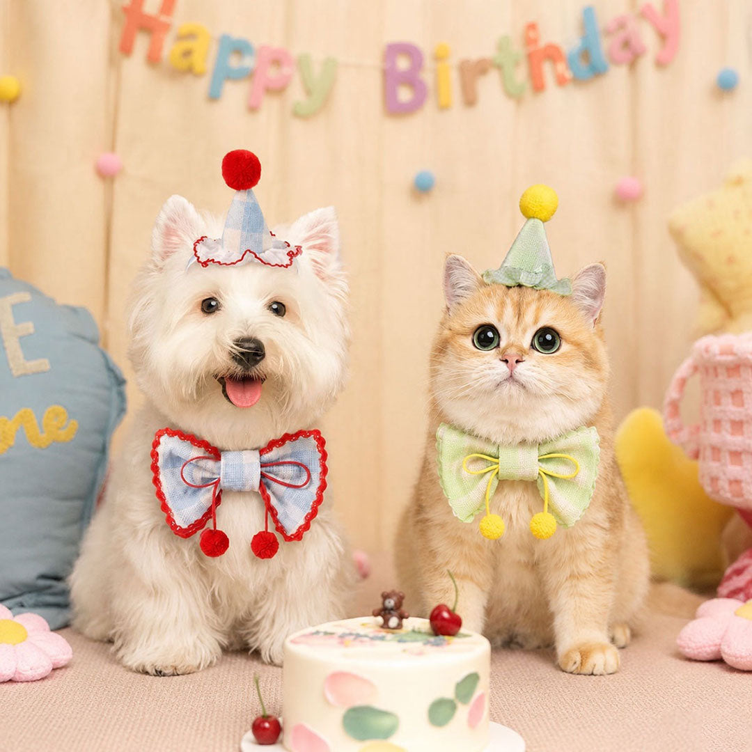 Pet Birthday Party Hat & Bow Tie