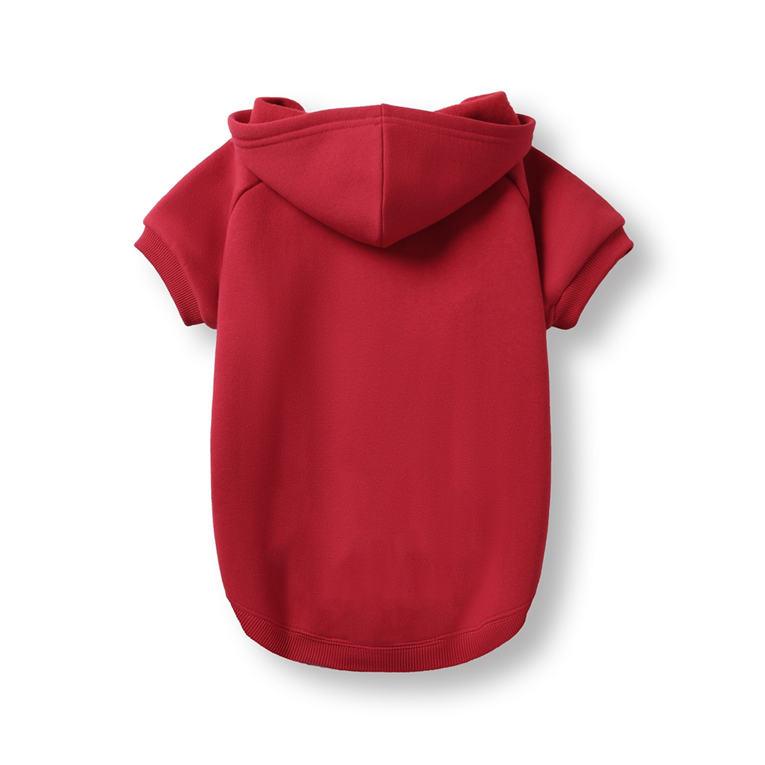 Personalized Sports Team Dog Hoodie