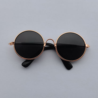Creative and Trendy Pet Glasses
