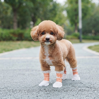 Disposable Dog Booties with Self-Adhesive Wrap