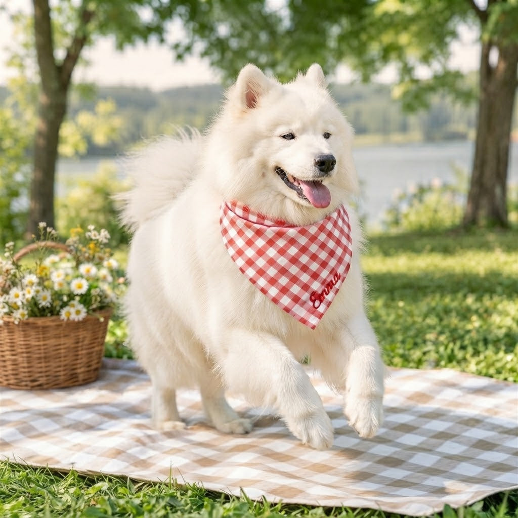 Personalized Embroidered Name Plaid Dog & Cat Bandana