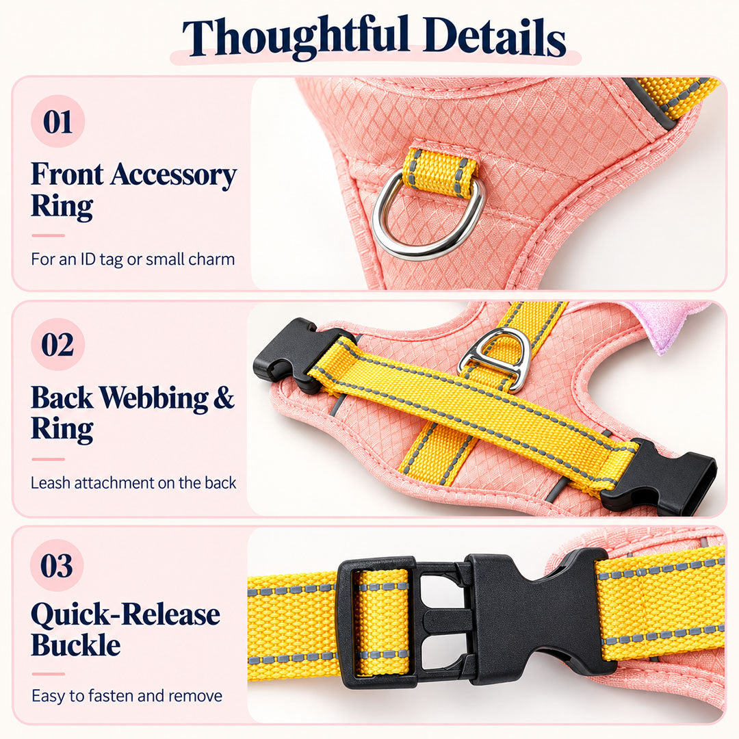 Angel Wing Pet Harness