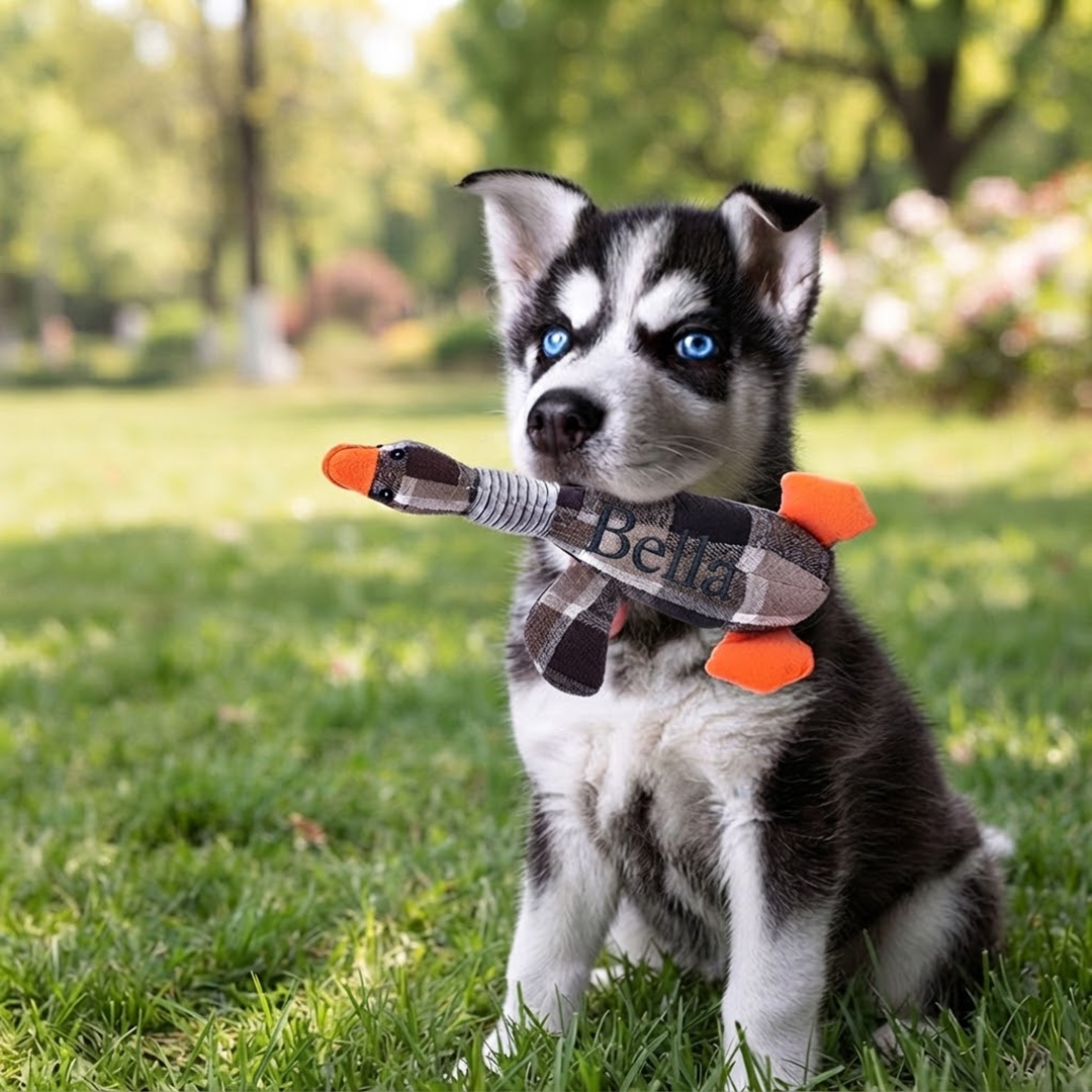 Custom Embroidered Name Dog Toy