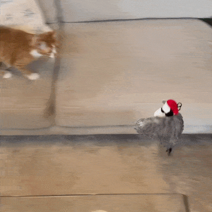 Puptailor Cat Interactive Bird Toy