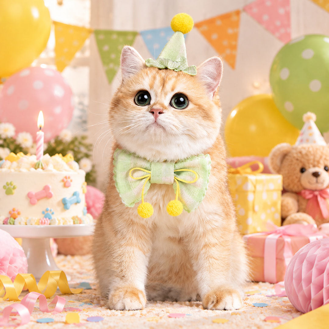 Pet Birthday Party Hat & Bow Tie