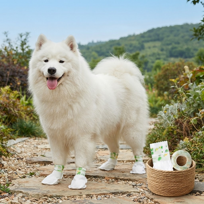 Disposable Dog Booties with Self-Adhesive Wrap