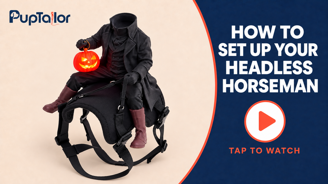 How to set up your Headless Horseman costume — assembly video