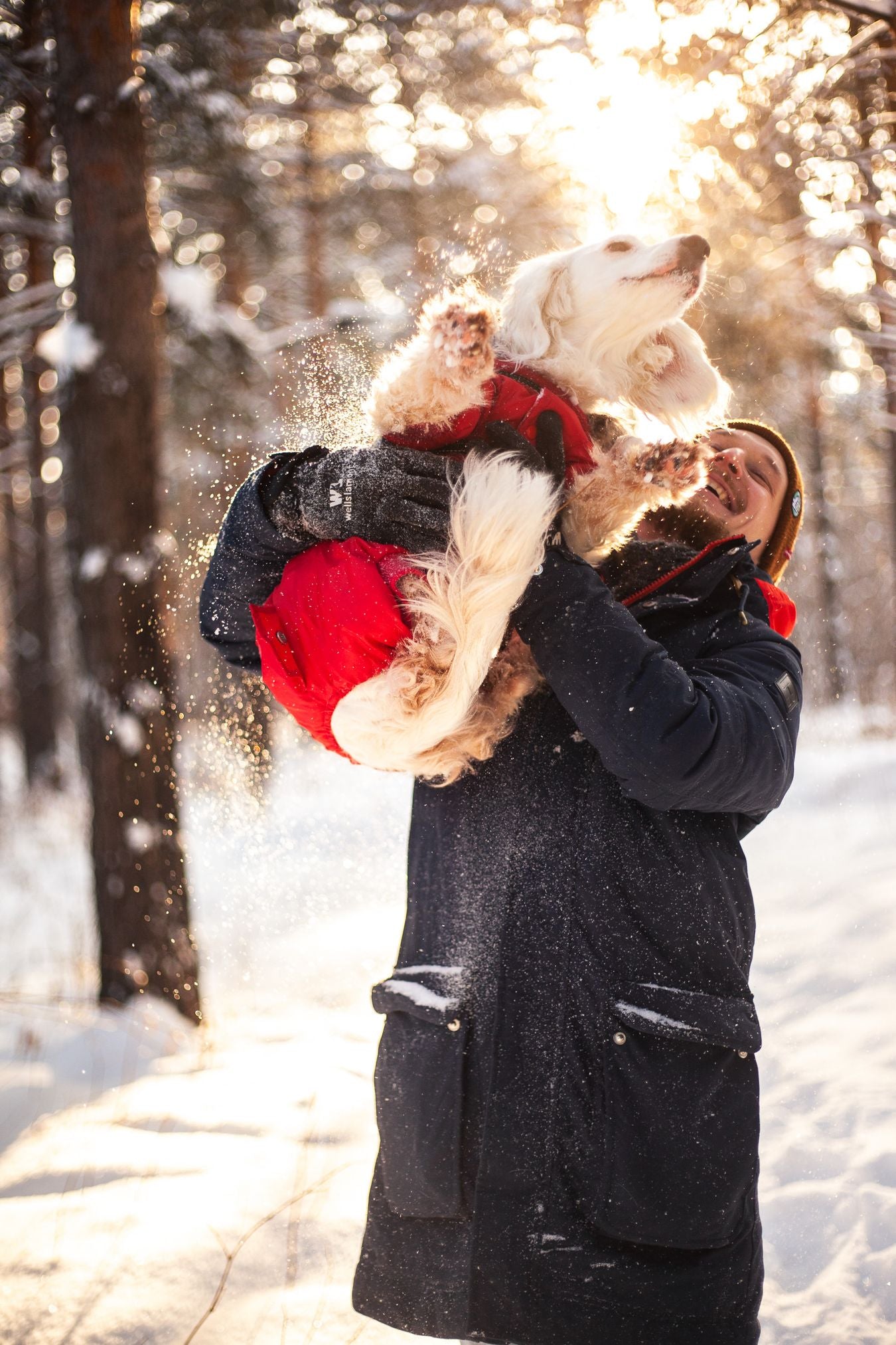 A pet parent carrying their dog through a snowy, sunlit winter morning